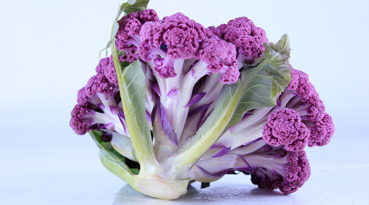 蔬菜种子 特色花椰菜西兰花紫色菜花紫妃一号花菜种子 原装1000粒