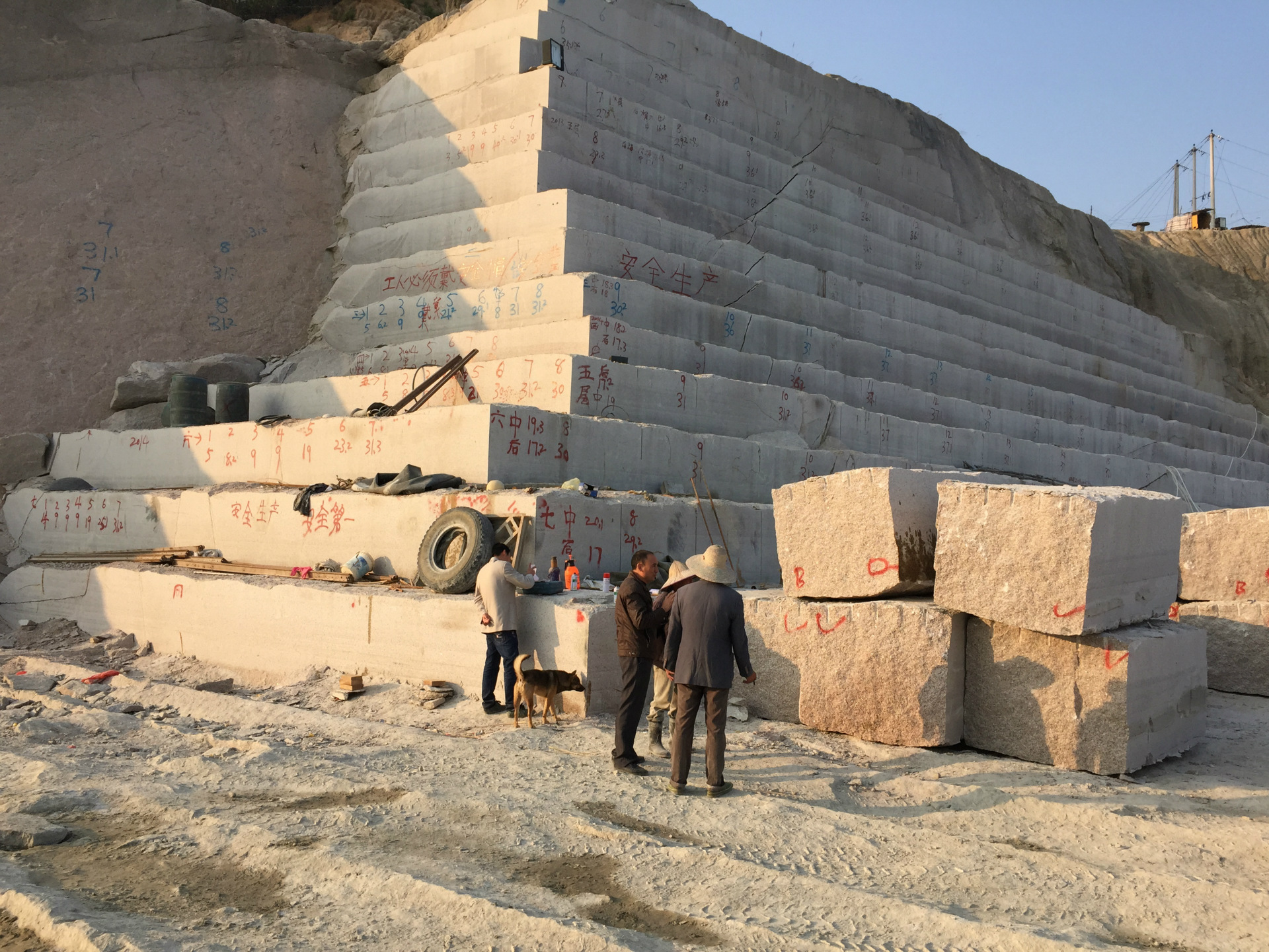 2016年帕沙大树普洱生茶饼 勐海天茗茶厂 生普 帕沙古.