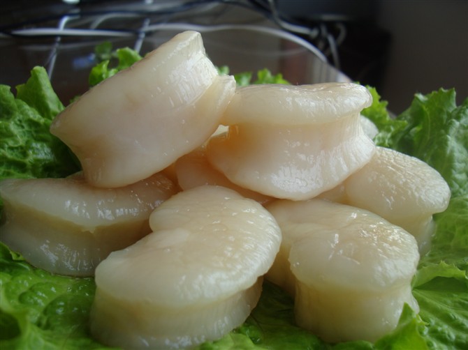 带子肉 江姚贝 江瑶贝批发 冷冻江姚贝 冻贝柱