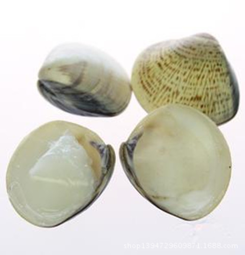 精品老国货哈利油 蛤蜊油批发 贝壳油 嘎啦油 上海牌哈利油厂家