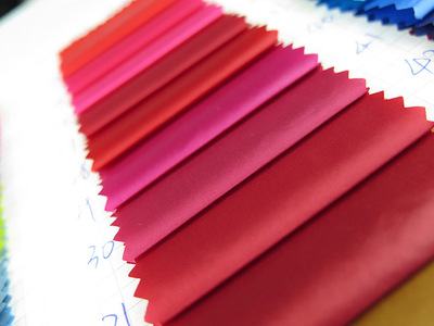 供应新款20d尼龙圆孔有光面料 后加工过胶 高质羽绒服棉服面料