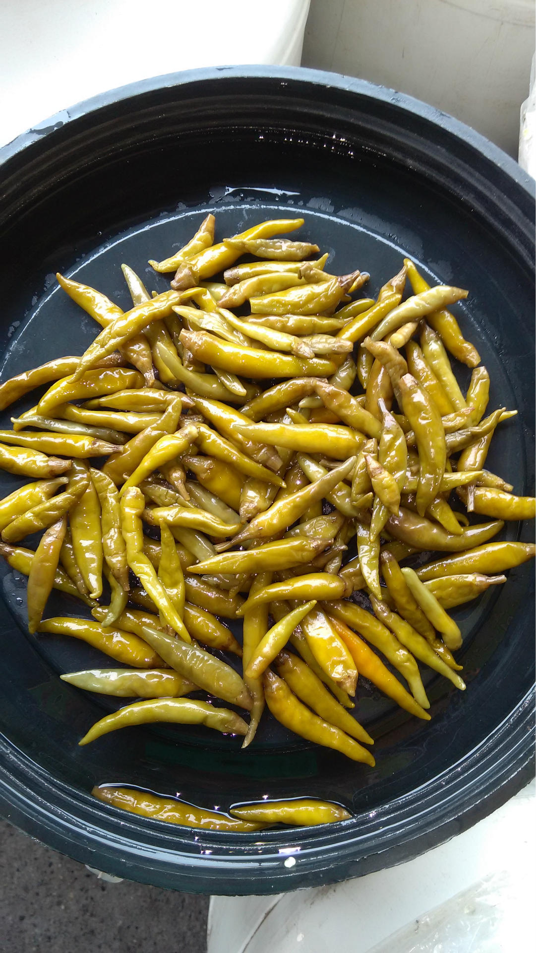 四川特产泡朝天椒新鲜泡椒墨鱼仔专用30kg圆泡椒泡红椒泡菜批发