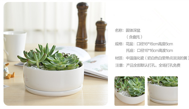 zakka盆栽陶瓷花盆 简约白色陶瓷多肉圆钵深盆含竹拖组合时尚花盆
