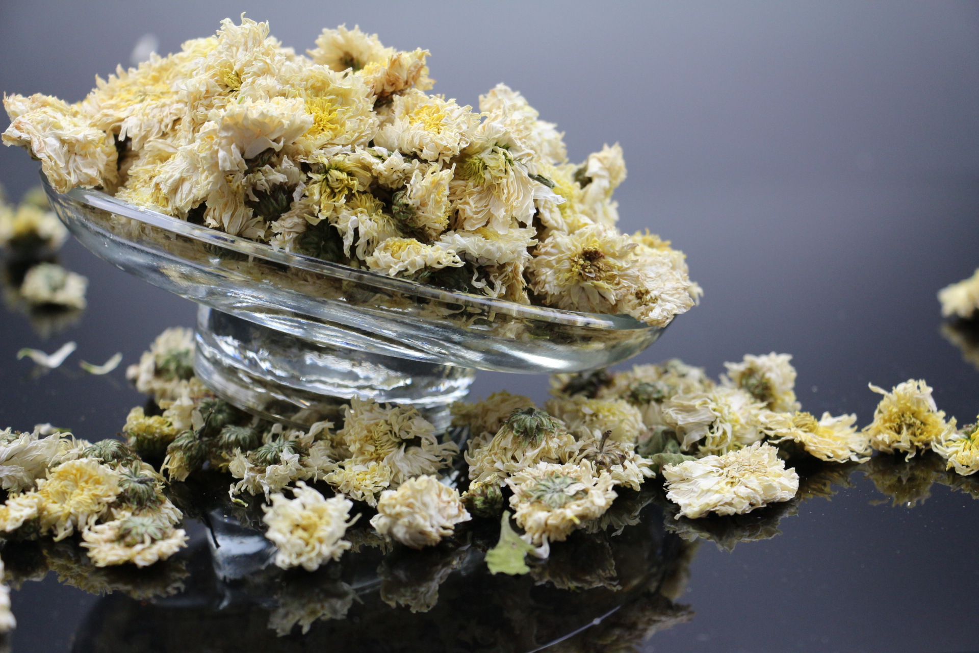 批发供应黄山贡菊 白菊花 贡菊花茶 正宗