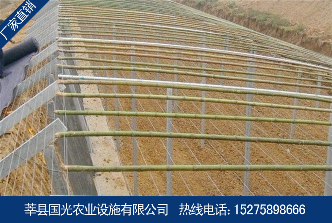 供应温室大棚 钢架大棚拱棚 高品质蔬菜花卉种植拱棚建设定制