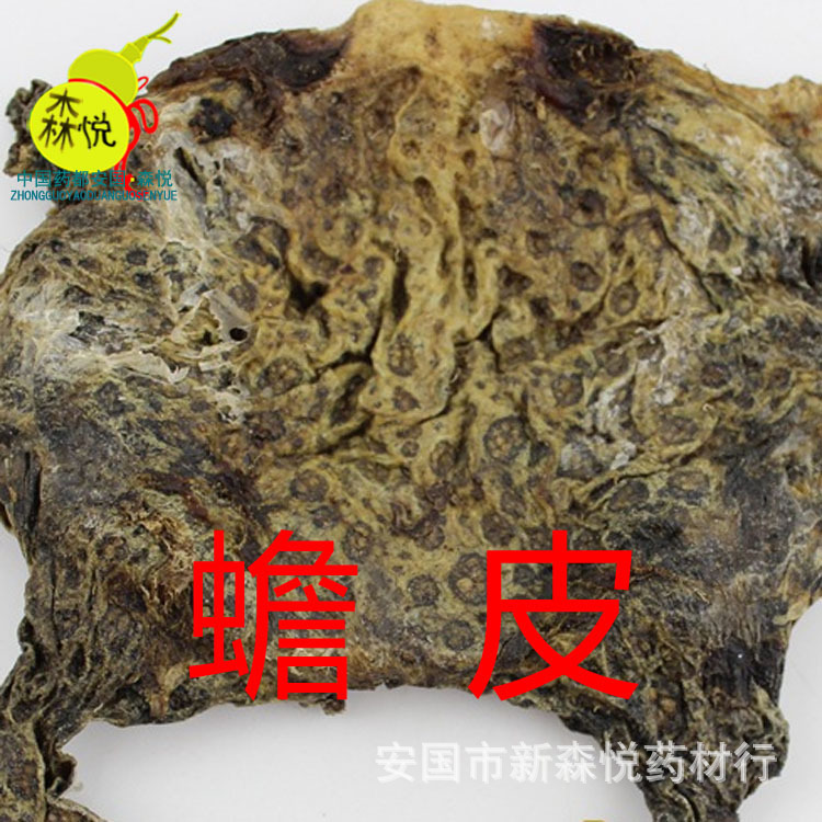 蟾皮 干蟾皮 蟾蜍皮 癞蛤蟆皮 蛤蚆皮 癞蟆皮 专药用 正品 保含量