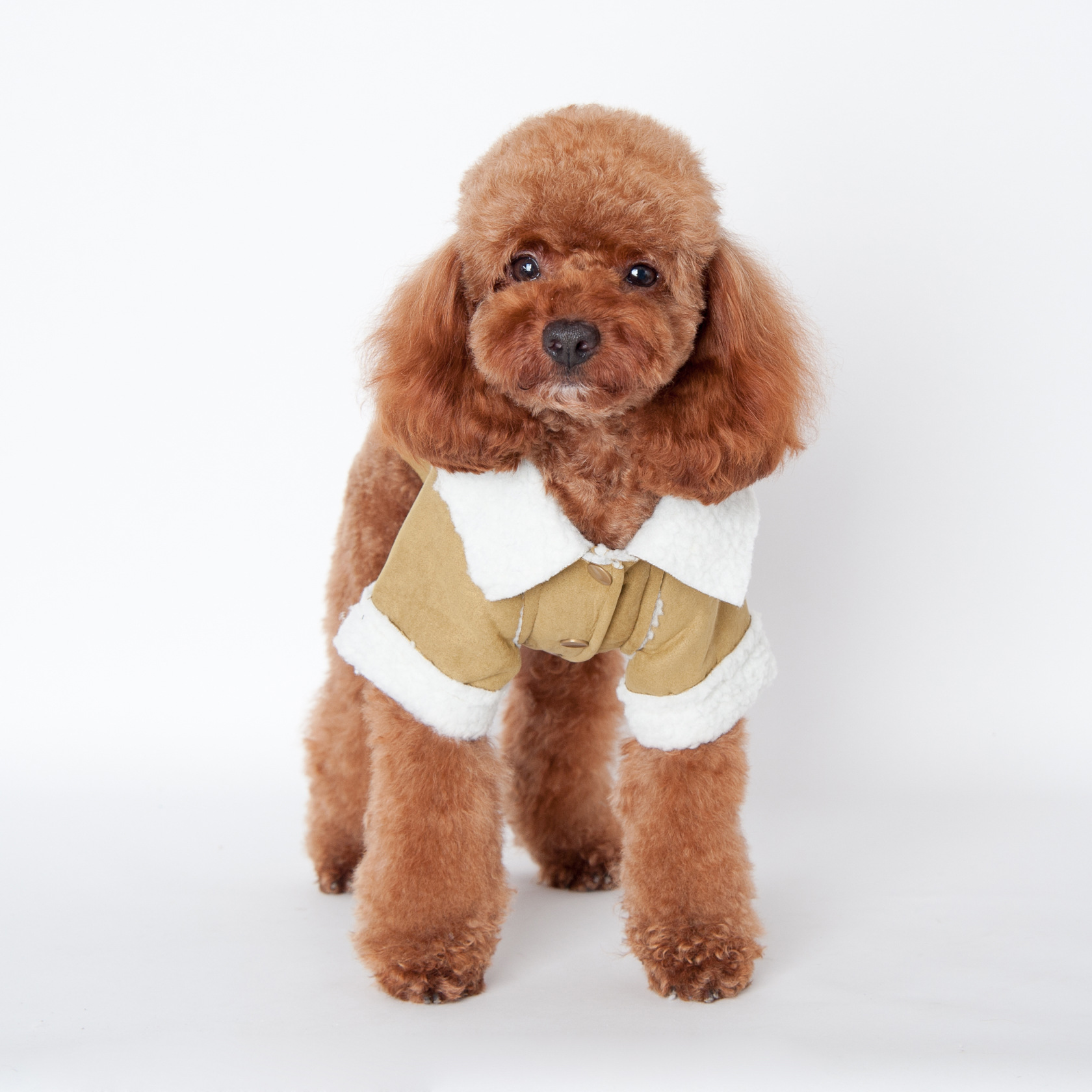 2017年新款狗狗衣服秋冬机车风情欧美范羊羔绒宠物服饰厂家直销