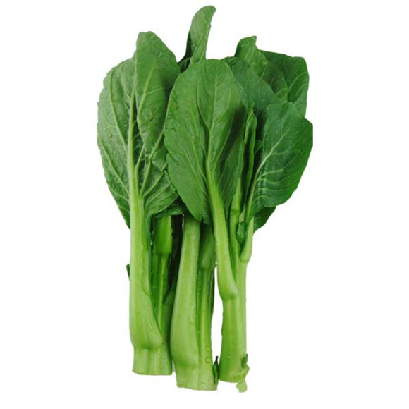 四季菜心种子青柳叶菜苔白菜薹耐热耐湿生长快可收多茬10克
