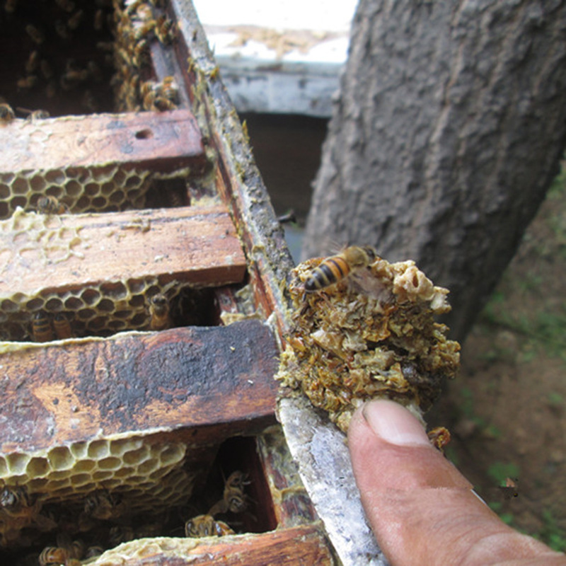 蜂农自产自销蜂胶 原胶 毛胶蜂胶 不含重金属泡酒专用