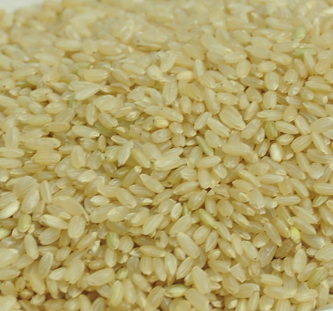 糙米 有机大米 内蒙古特产 健康粗粮 五谷杂粮 批发 产家直销