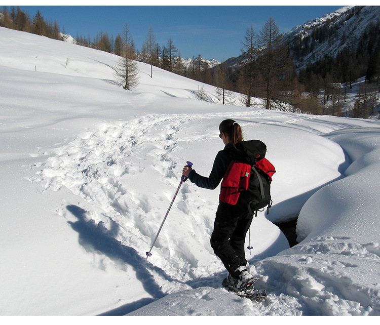 彼思达高山滑雪杆超轻铝合金滑雪装备专业越野高强度单节滑雪杖