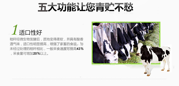 TB2dAnNdFXXXXbCXXXXXXXXXXXX_!!