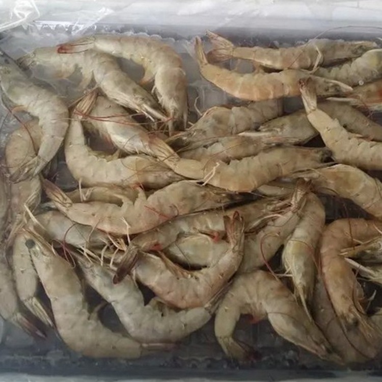 冷冻水产品 冷冻优质青虾 板冻青虾 冷冻海鲜批发 8-12