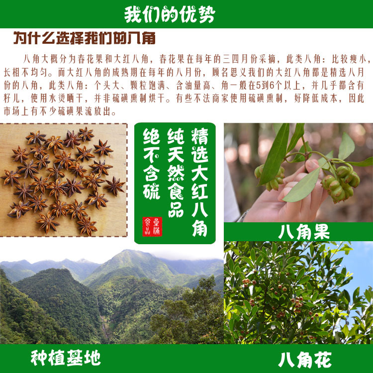 八角茴香的功效与作用图片