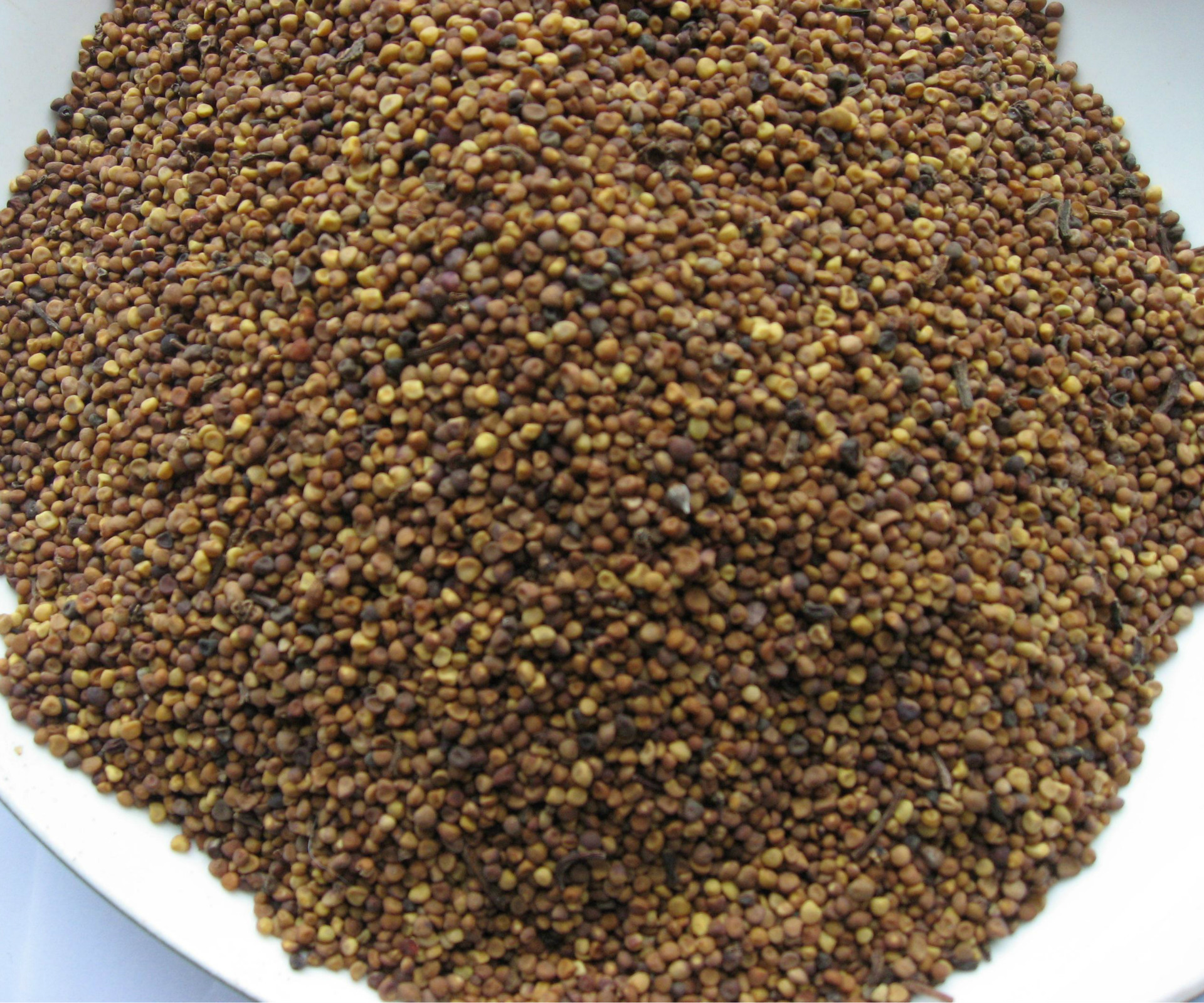 zy批发中药材菟丝子余种菟丝子植物原材料保证质量经营各种中药材