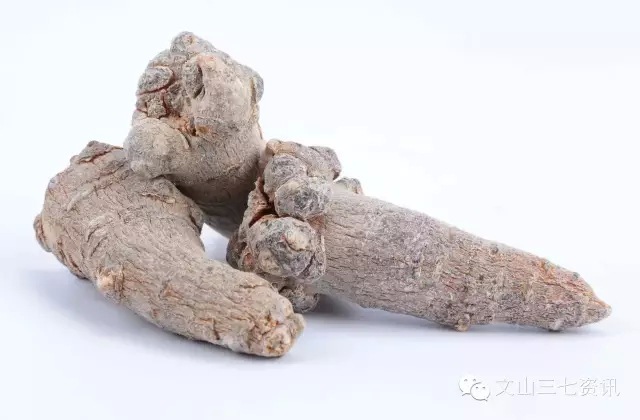 深度解析生熟三七,帮您解答客户疑虑!