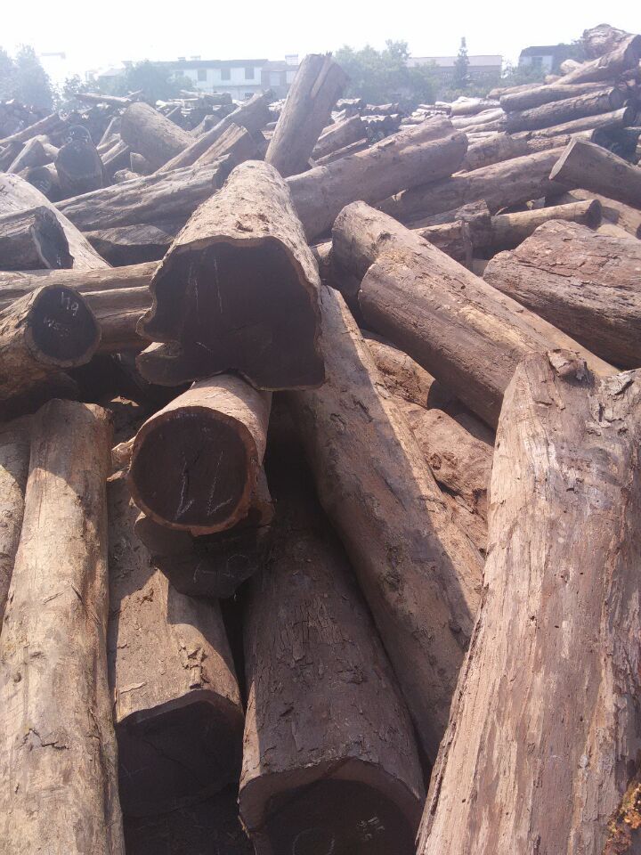 非洲进口原木沉贵宝 建筑原木沉贵宝 高强度木料沉贵宝