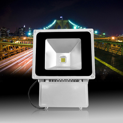 100w单头50w 双头投光灯泛光灯户外防水广告招牌工程户外装修