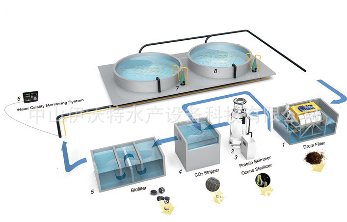 ras海水淡水养鱼养虾水产养殖系统工厂化养殖循环水处理养殖系统