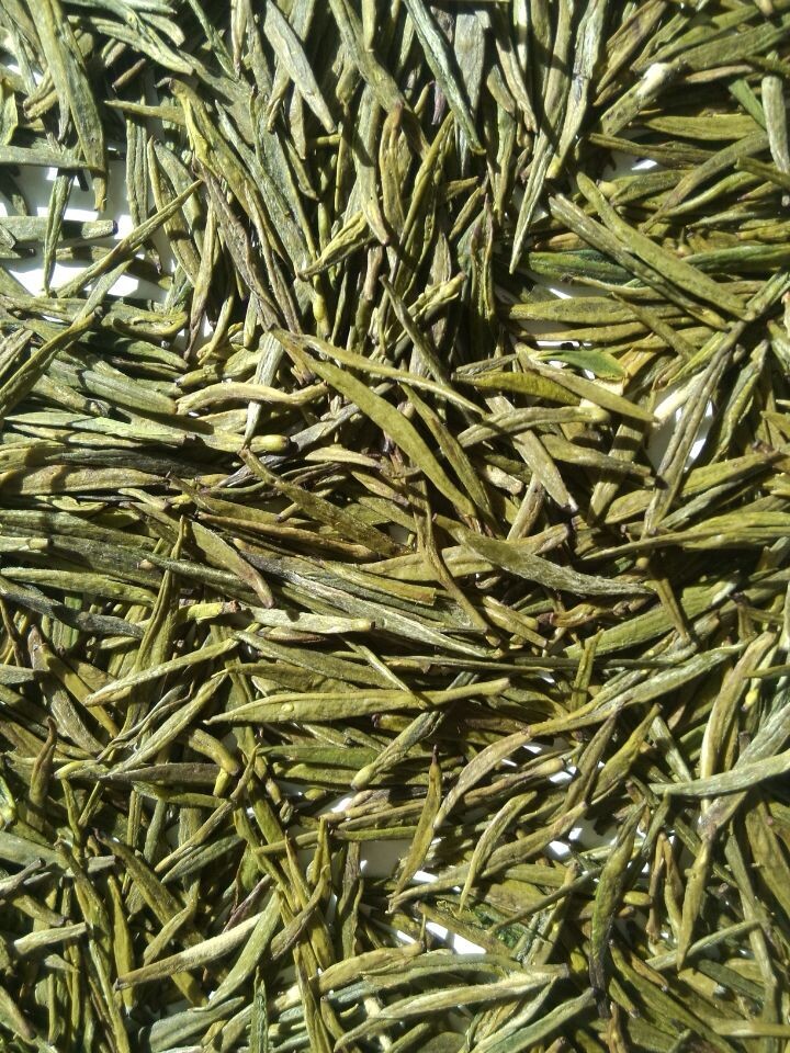 厂家七佛贡茶2015新茶上市热卖量大从优