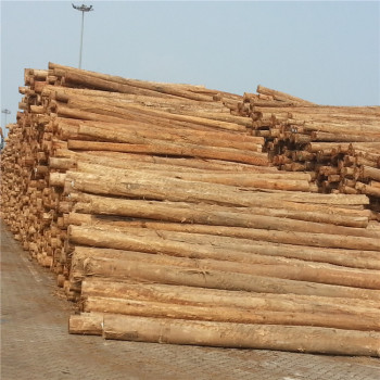 细纹花旗松原木 铁杉云杉原木 园林古建筑寺庙木材 量大价格-阿里巴巴