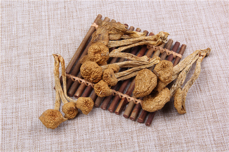 厂家直销批发食用菌蘑菇 天然无污染一级干滑子菇 产地直销