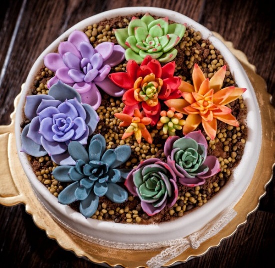 以假乱真:逆天的翻糖多肉蛋糕!又来了又来了!