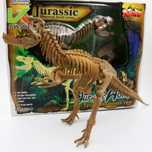 厂家直供新品超大号高品质恐龙骨架环保材料教学拼装恐龙模型玩具
