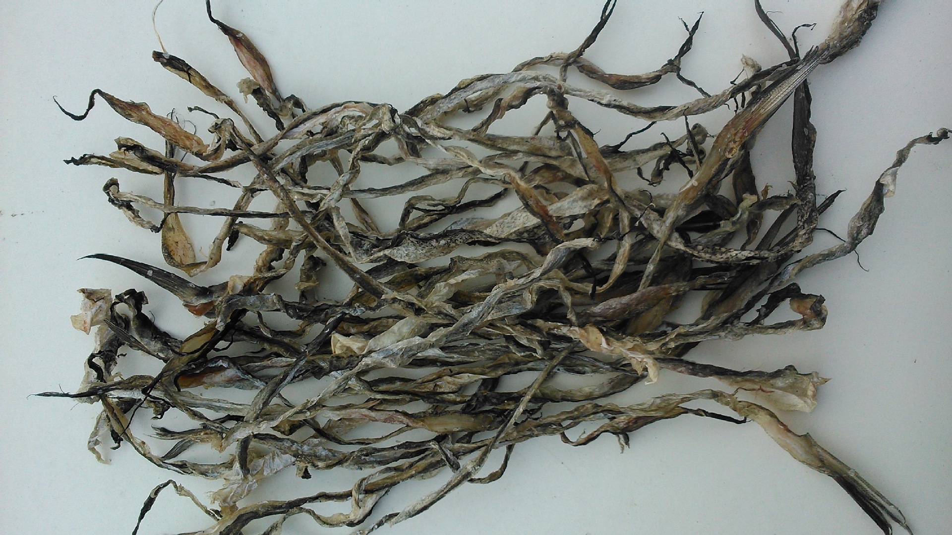 厂家加工销售深海狭鳕鱼皮,无添加无污染时候休闲香辣鱼皮食品