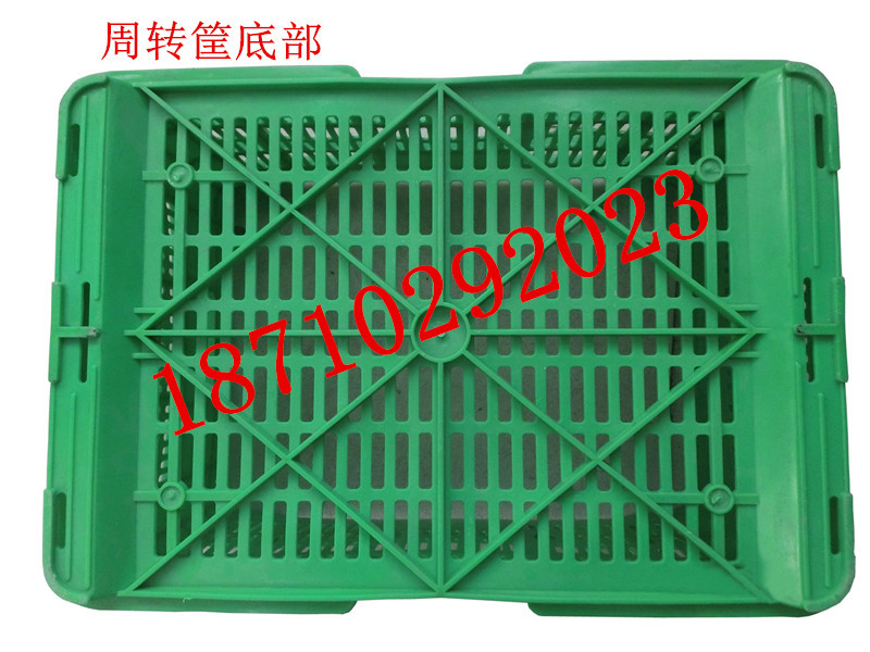 5号筐5_副本