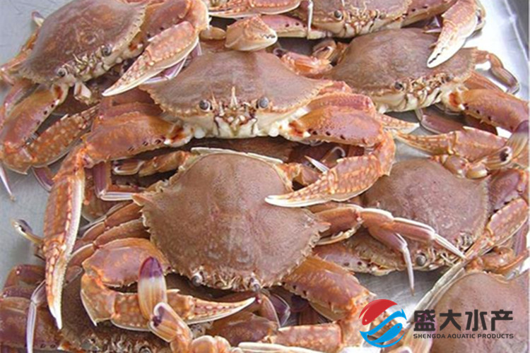 常年批发冷冻海捕野生扁蟹(拥剑梭子蟹),肥满多肉,壳薄美味