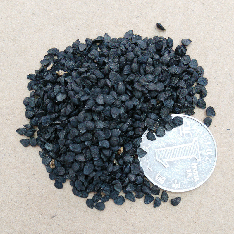 葱籽东北葱子散装500g包运费 九嘉中药材批发