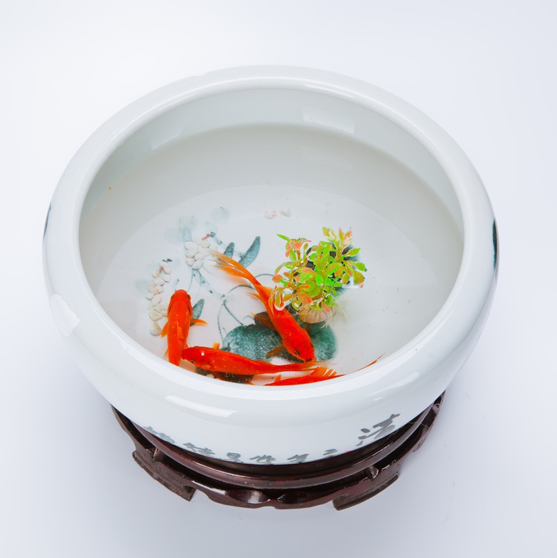 景德镇陶瓷金鱼盆 手绘荷花水培植物碗莲盆