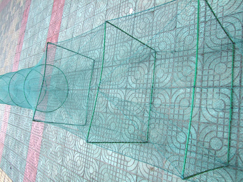 声波鱼笼地笼王(捕牛尾巴,鲤鱼,鲫鱼,狗鱼,甲鱼等)40cm*50cm.