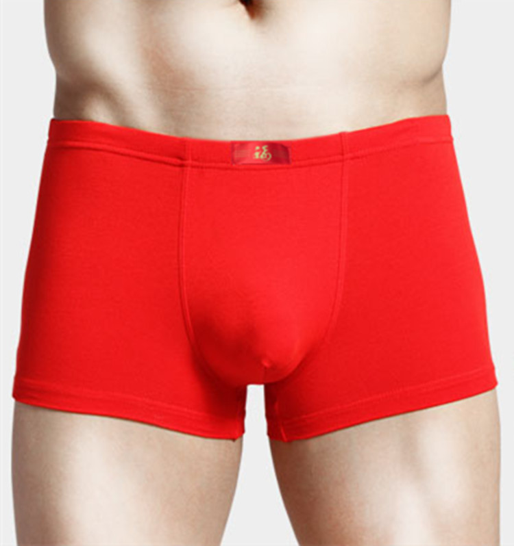 Year of Birth Men's Big Red Modal Red Underpants Men's Boxer Briefs Red Underpants Slim-Fitting Simple Four Corners