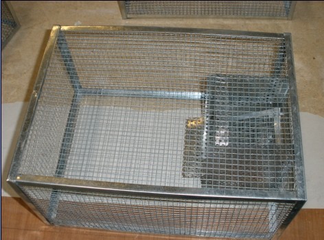 易捕连续捕鼠器 老鼠笼灭鼠器家用 比鼠夹粘鼠板好用 逮老鼠器