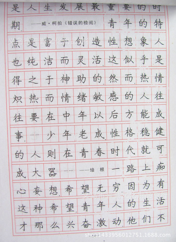罗杨钢笔字帖人生格言汉字规范练习楷书中小学生硬笔书法练习
