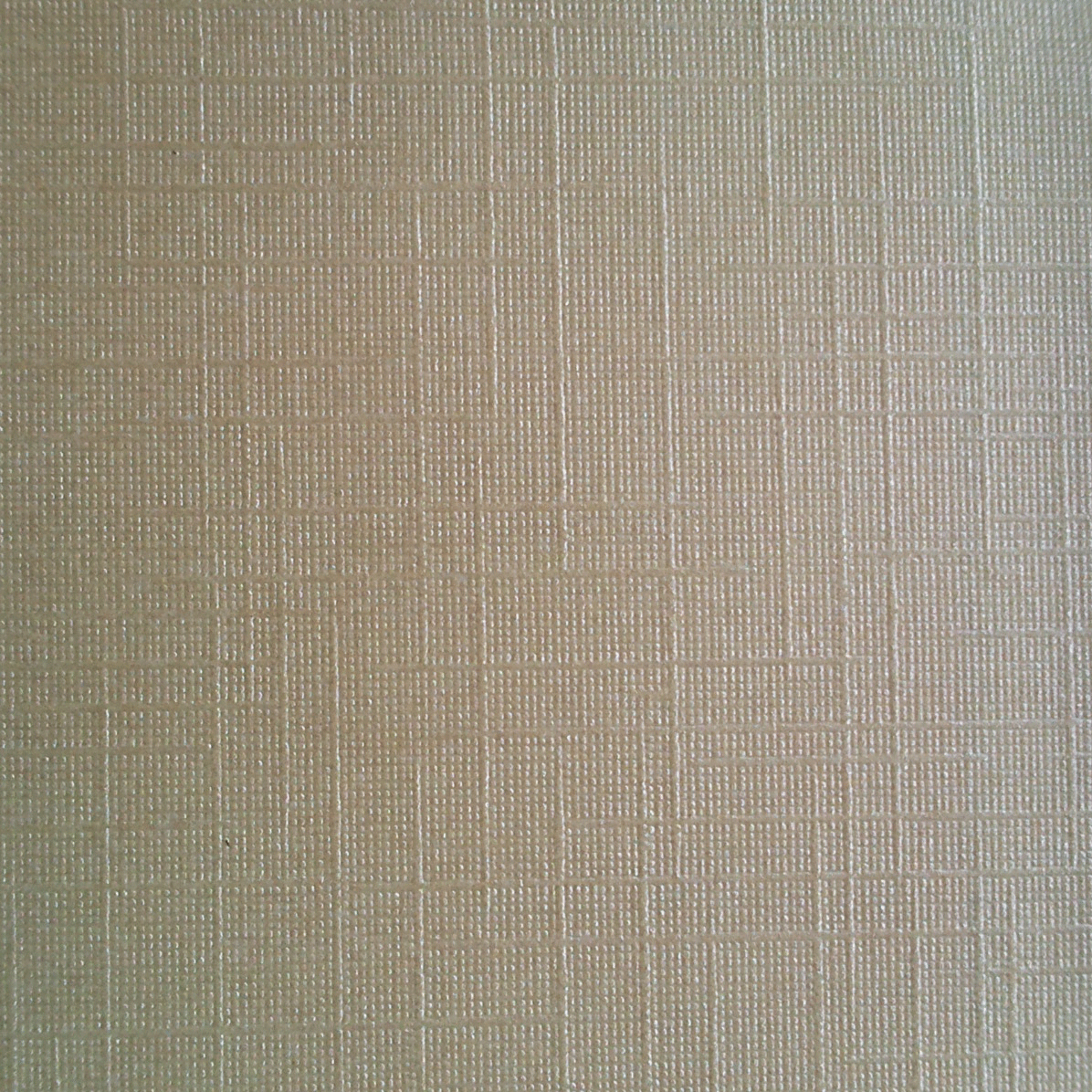 厂家直销供应特种纸 珠光纸 艺术纸 包装纸多色 莱妮纹特价120g