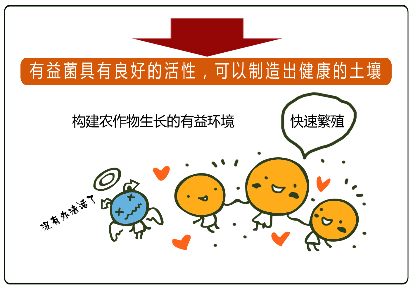 生物肥料厂家直销线虫防治专用土壤冲施处理菌剂复合微生物菌肥