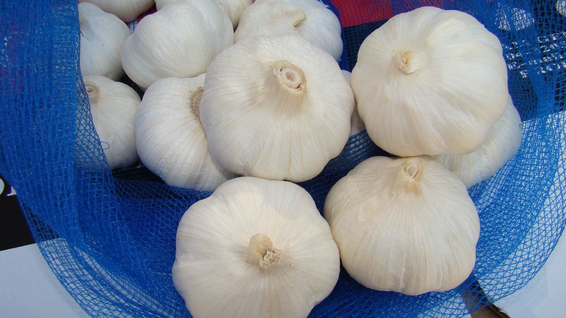 供应精选出口级品质白皮大蒜 绿色无污染大蒜量大从优