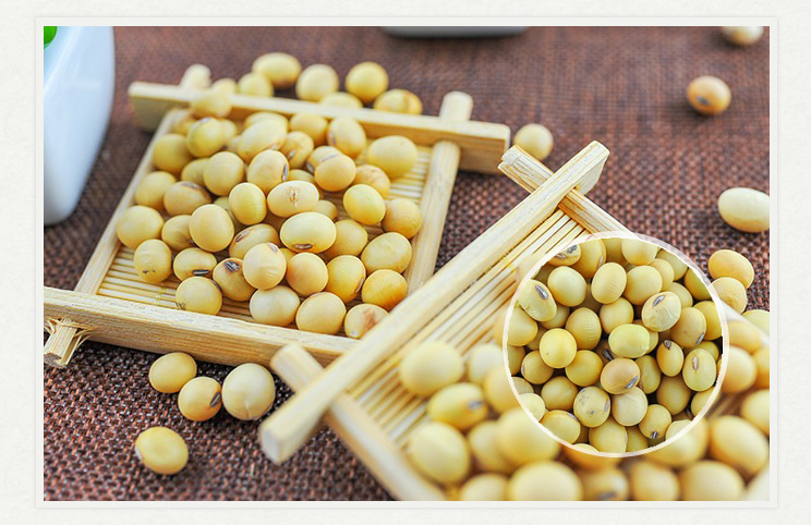 绿色食品东北特产打豆浆黄豆 粗粮自家种大粒大豆杂粮黄豆