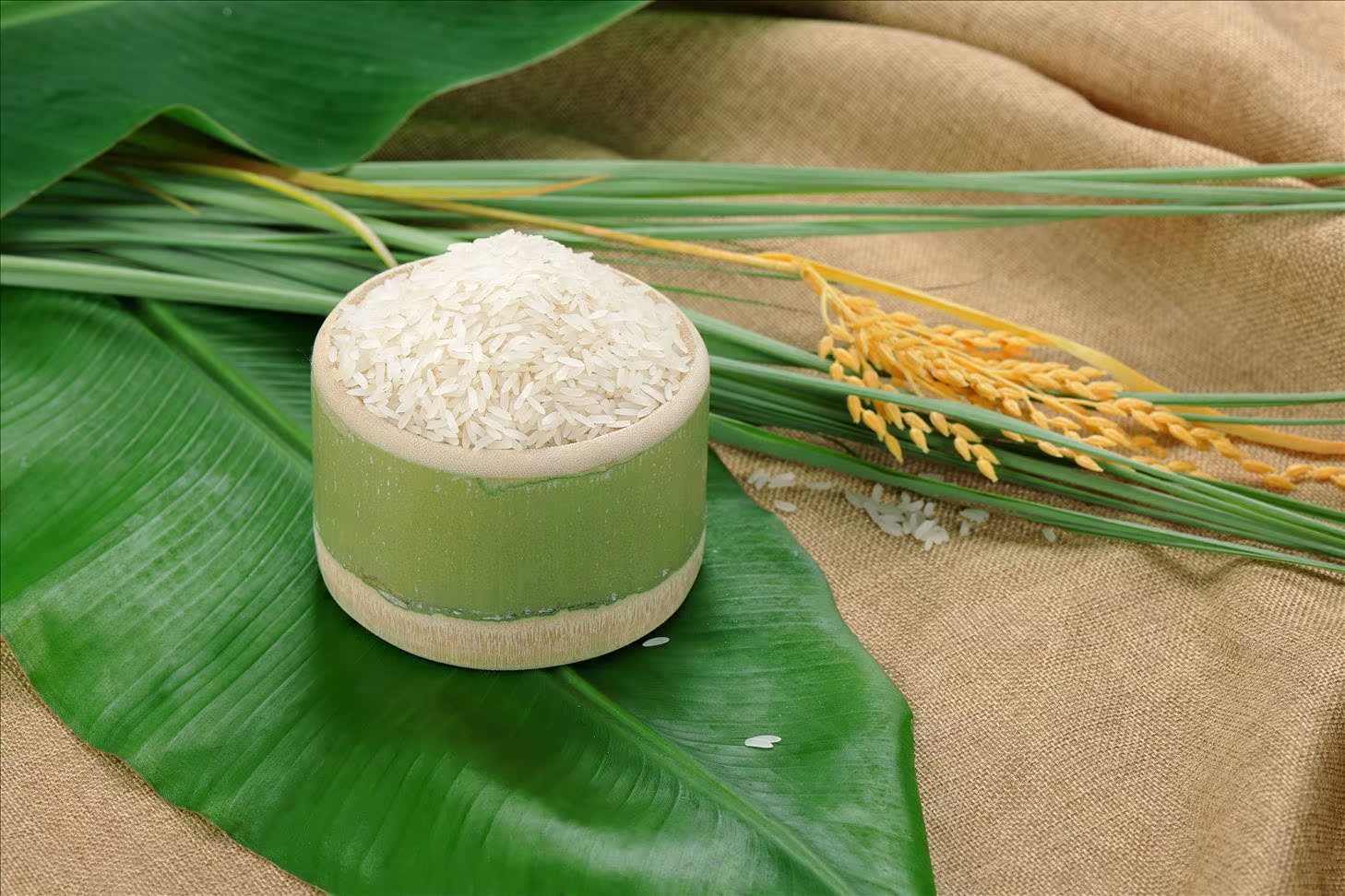 【厂家直销】一级大米 进口老挝贡米1kg真空包装 缅禾有机大米