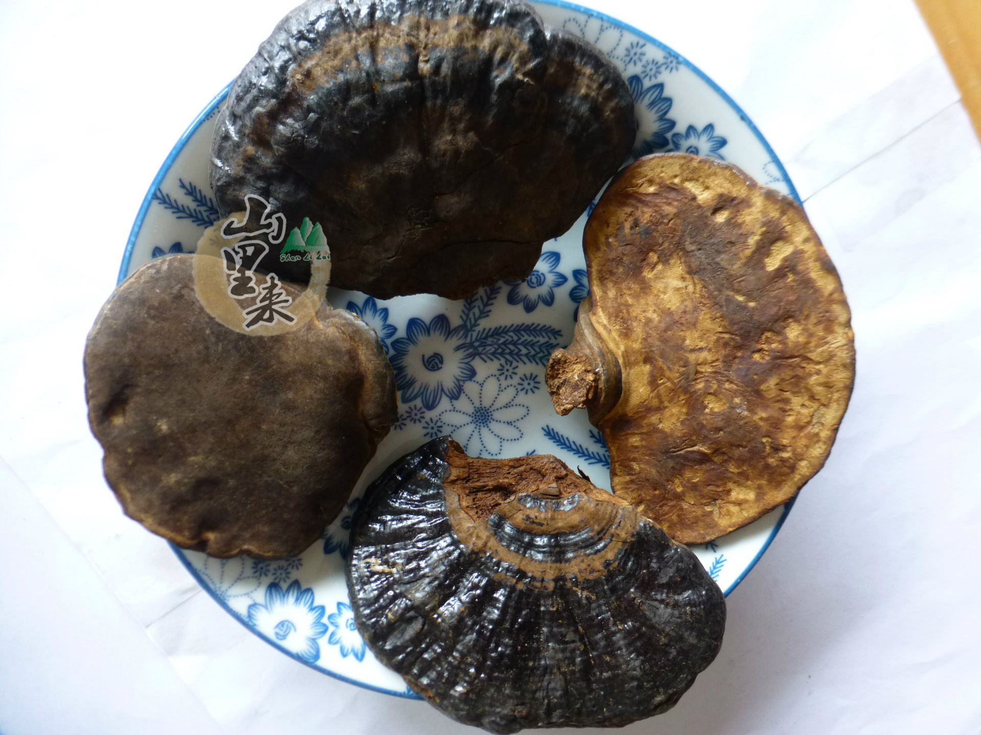 降三高 野生无柄紫灵芝 云南野生无柄紫芝 黑灵芝批发