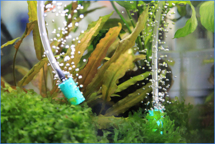 鱼缸增氧泵专用氧气管 曝气管水族箱气泵专用软管4*6mm 整卷约70m