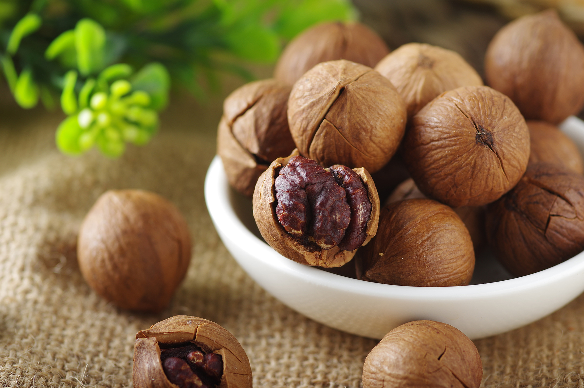 手剥山核桃 15年新货 临安特产手剥大籽山核桃2