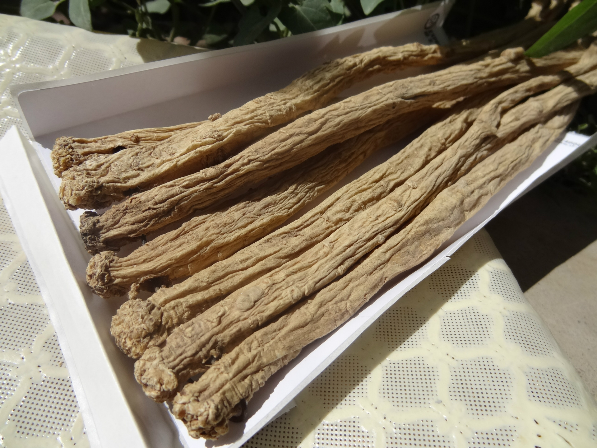 纹党参 甘肃陇南文县中寨纹党 药食两用 出口纹党 养生保健中药材