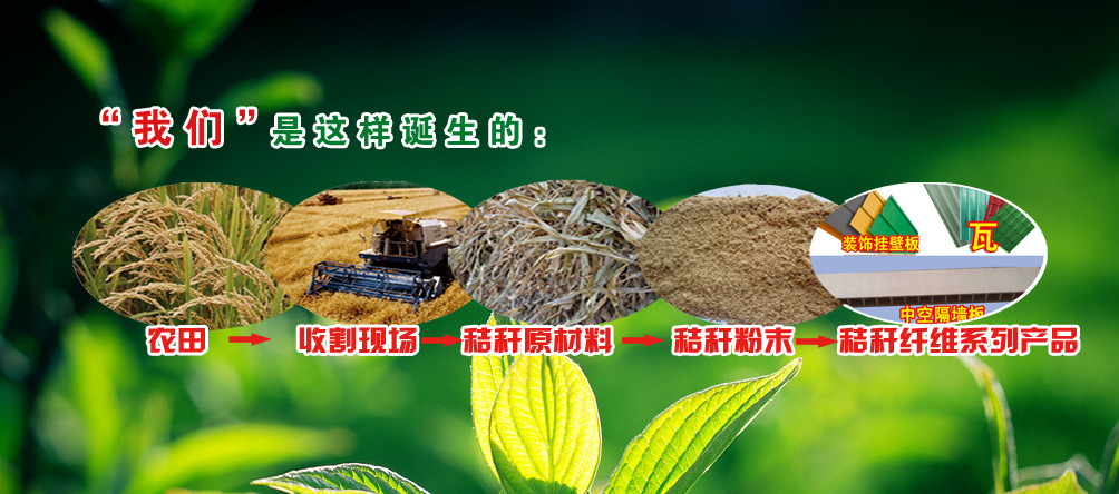 20140115134526562656