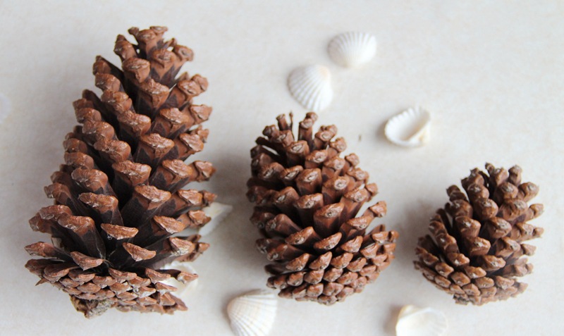 新鲤华工艺 美国湿地松 大松果 松塔 圣诞装饰挂饰