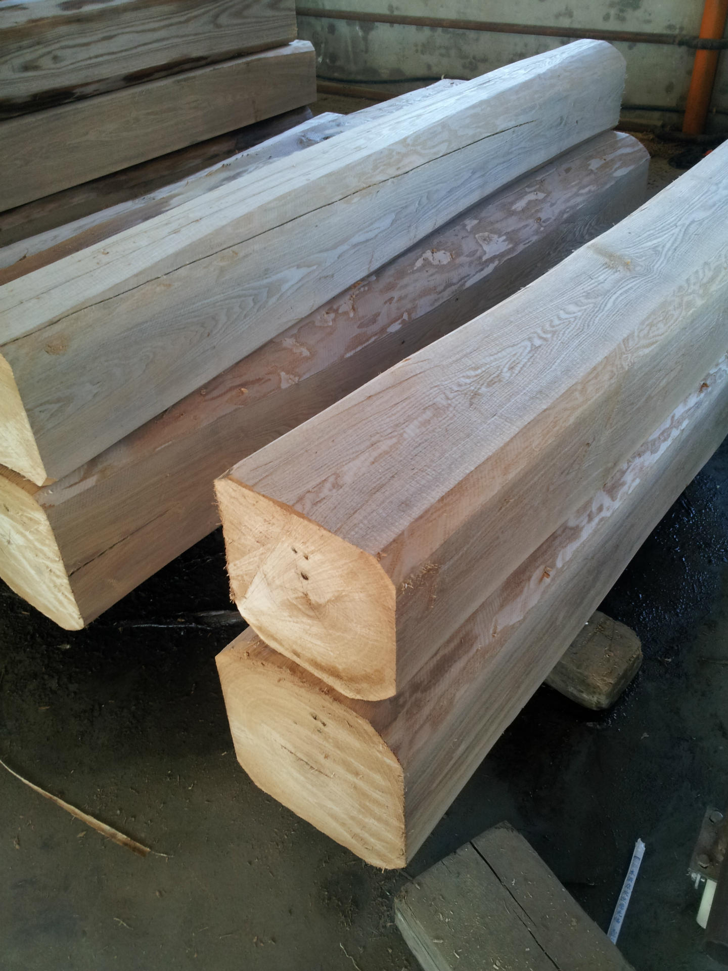 东北椴木木皮厂家直销水曲柳木皮