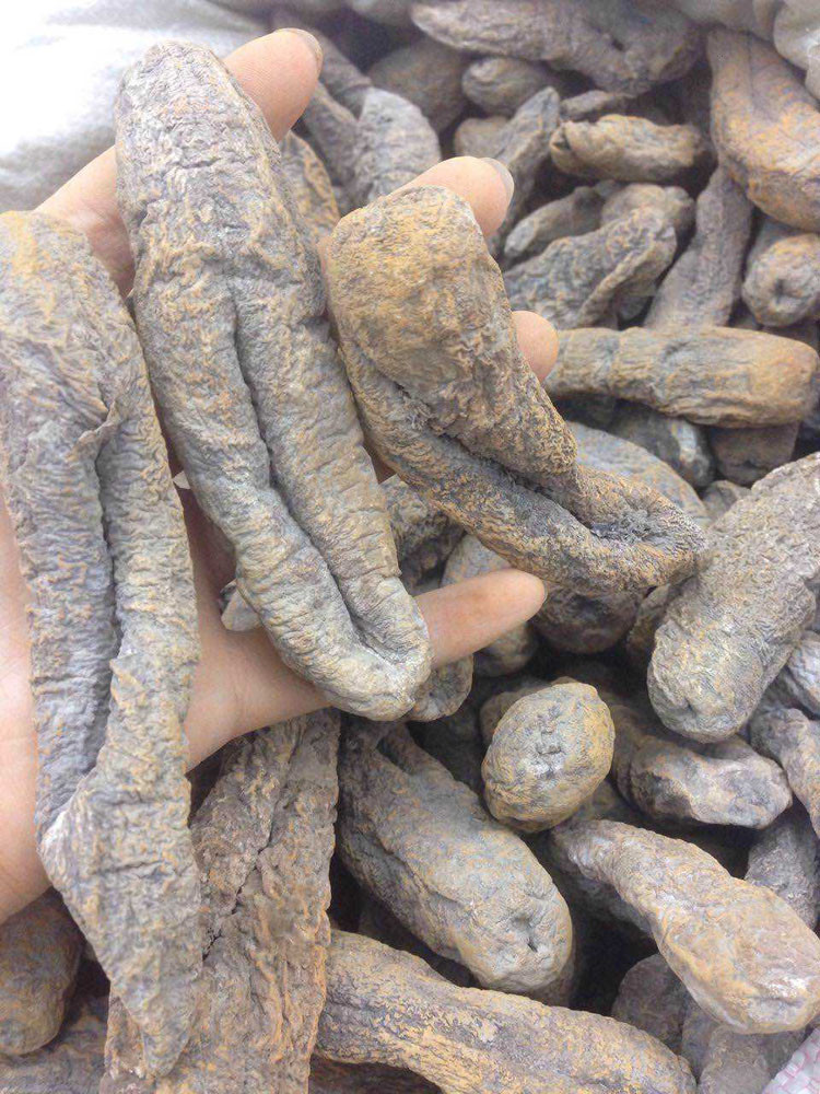 10吨 茄参 足干 无泥 发头大